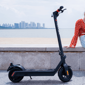 Mearth Riding Scooters Mearth RS Pro Electric Scooter
