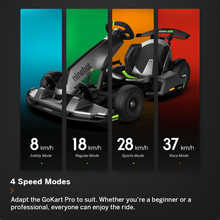 Load image into Gallery viewer, Segway-Ninebot Go Karts &amp; Dune Buggies Segway-Ninebot Go-Kart PRO