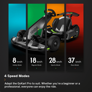 Segway-Ninebot Go Karts & Dune Buggies Segway-Ninebot Go-Kart PRO