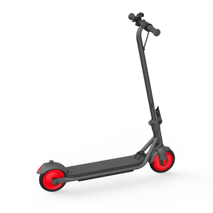 Segway-Ninebot Riding Scooters Segway-Ninebot Kids Electric Kickscooter C20
