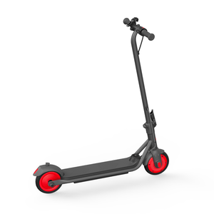 Segway-Ninebot Riding Scooters Segway-Ninebot Kids Electric Kickscooter C20